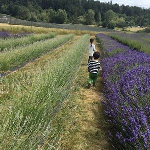 Meet your Posher, Yin yin